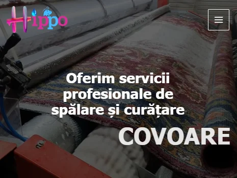 Covoare curate și reîmprospătate – portofoliu Hippo Spălătorie Covoare